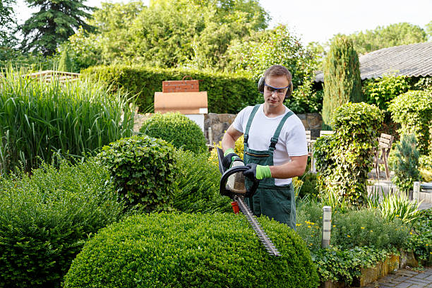 Best Storm Damage Tree Cleanup  in Breckinridge Center, KY